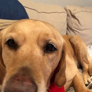 Meet your Posher, Jann